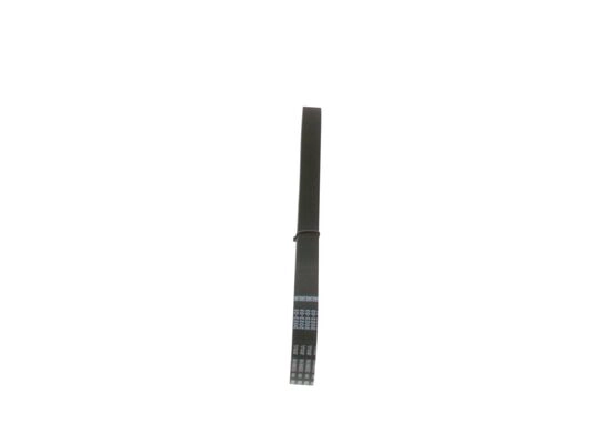 V-Ribbed Belt