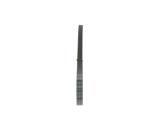 V-Ribbed Belt (1 987 946 062)