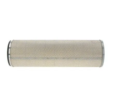 Secondary Air Filter