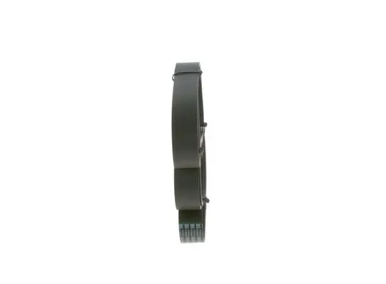 V-Ribbed Belt (1 987 945 705)