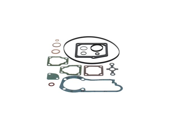 Seal Kit, injector pump centrifugal governor