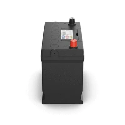 Starter Battery