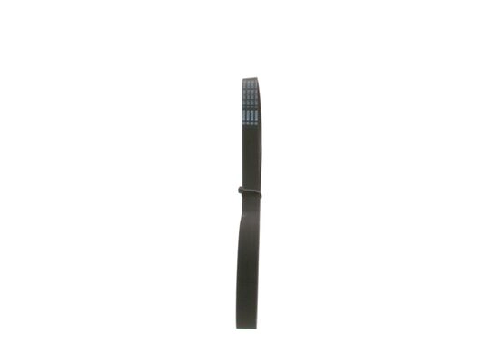 V-Ribbed Belt