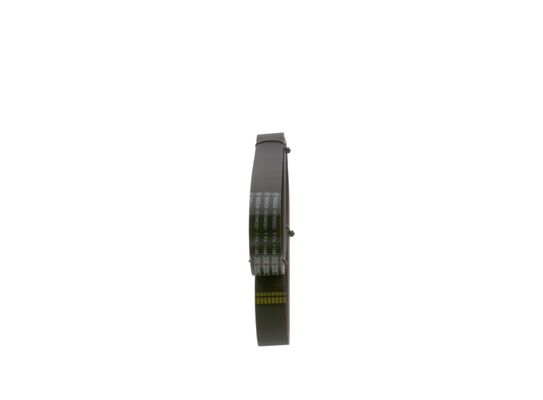 V-Ribbed Belt