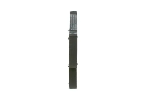 V-Ribbed Belt (1 987 947 070)