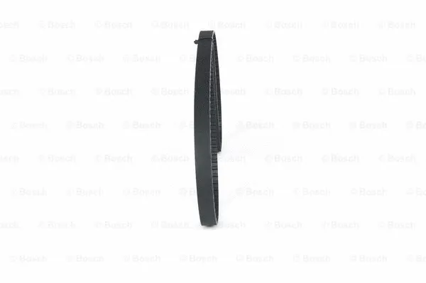 Timing Belt (1 987 949 018)