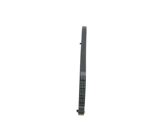 V-Ribbed Belt