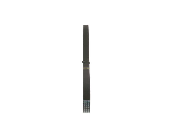 V-Ribbed Belt (1 987 946 020)