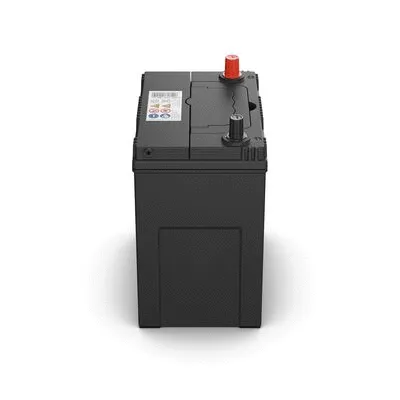 Starter Battery