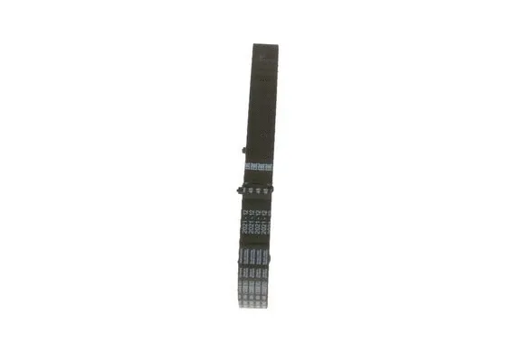 Timing Belt