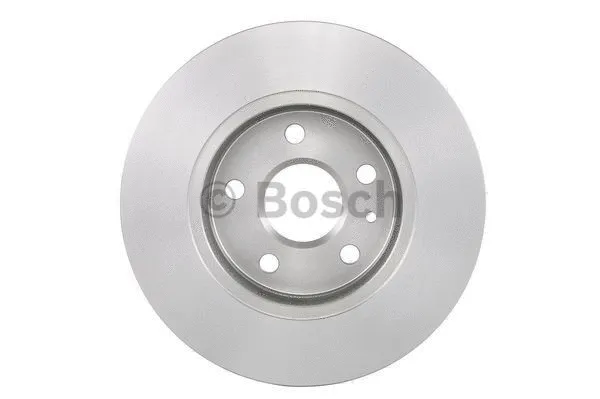Brake Disc (0 986 479 543)