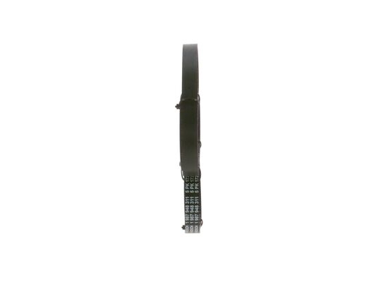 V-Ribbed Belt