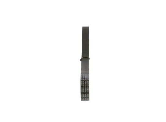 V-Ribbed Belt