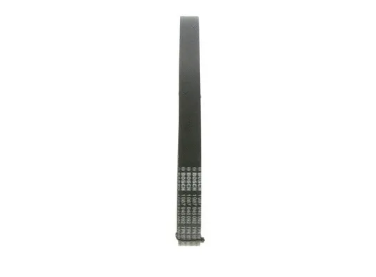 V-Ribbed Belt