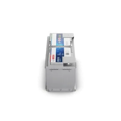 Starter Battery