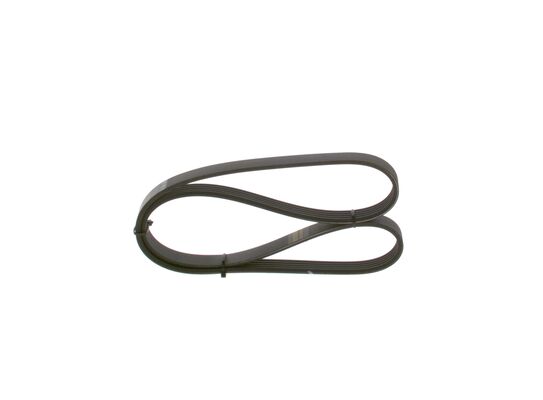 V-Ribbed Belt (1 987 948 406)