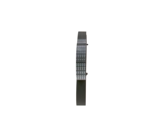 V-Ribbed Belt