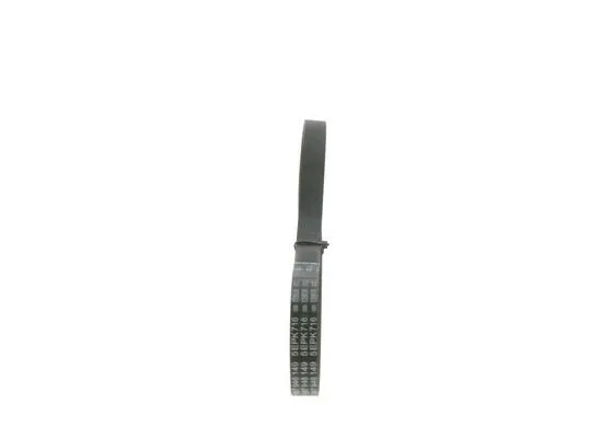 V-Ribbed Belt