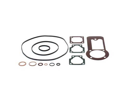 Seal Kit, injector pump centrifugal governor