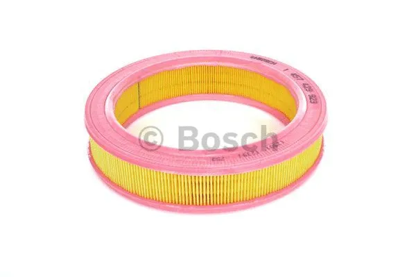 Air Filter (1 457 429 923)