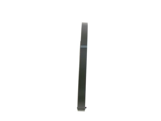 V-Ribbed Belt