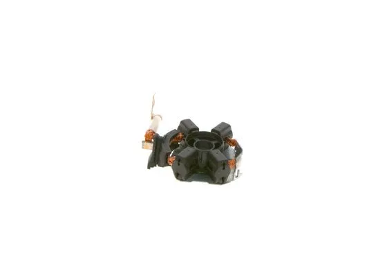Holder, carbon brushes