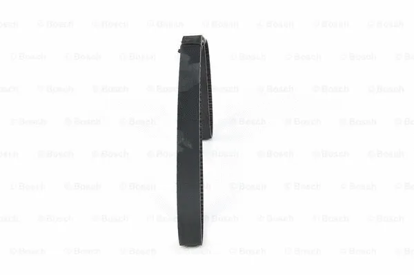Timing Belt