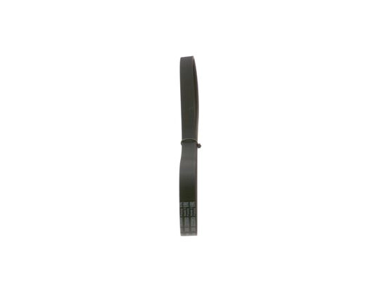 V-Ribbed Belt (1 987 948 489)