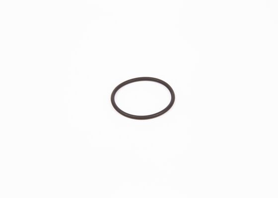 Rubber Ring (F 00R 0P0 166)