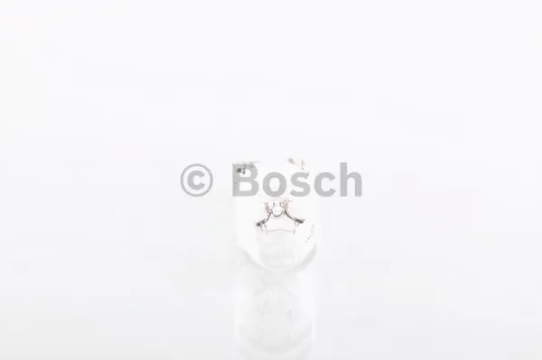 Bulb (1 987 302 516)