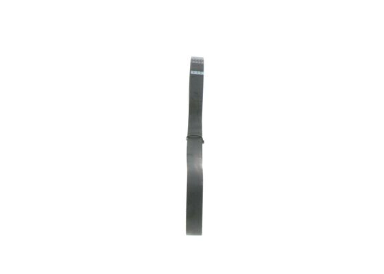 V-Ribbed Belt