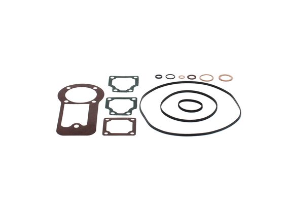 Seal Kit, injector pump centrifugal governor