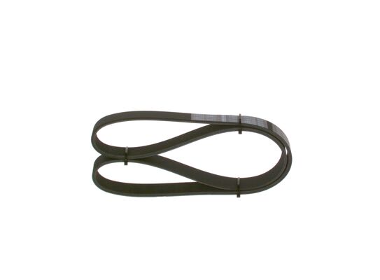 V-Ribbed Belt