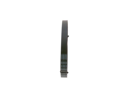 V-Ribbed Belt (1 987 948 435)