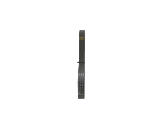 V-Ribbed Belt