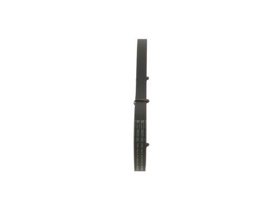 V-Ribbed Belt (1 987 945 734)