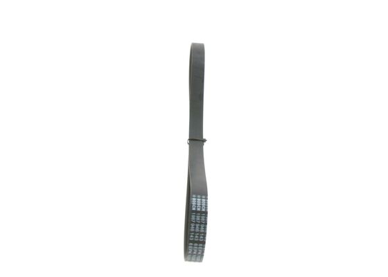V-Ribbed Belt (1 987 946 143)