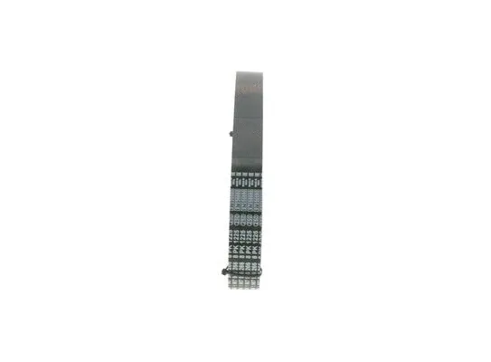 V-Ribbed Belt (1 987 946 266)