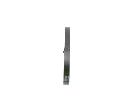 V-Ribbed Belt