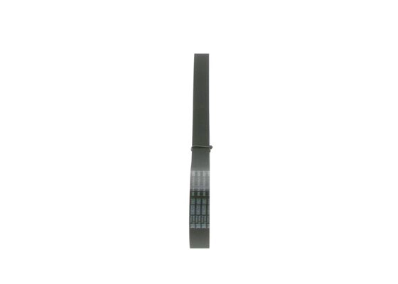 V-Ribbed Belt (1 987 946 264)