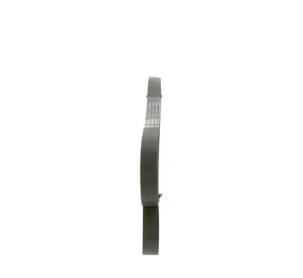 V-Ribbed Belt