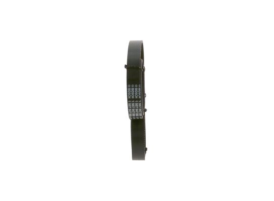 V-Ribbed Belt