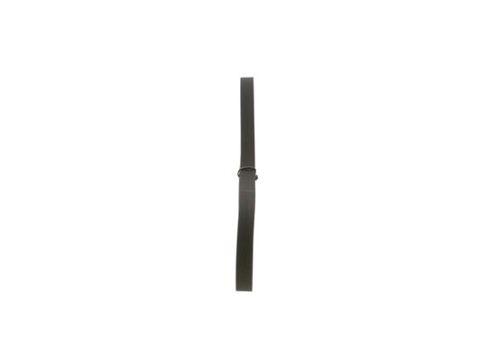 V-Ribbed Belt