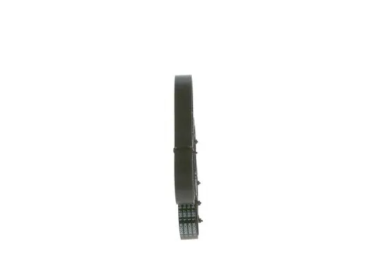 V-Ribbed Belt