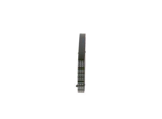 V-Ribbed Belt (1 987 947 918)