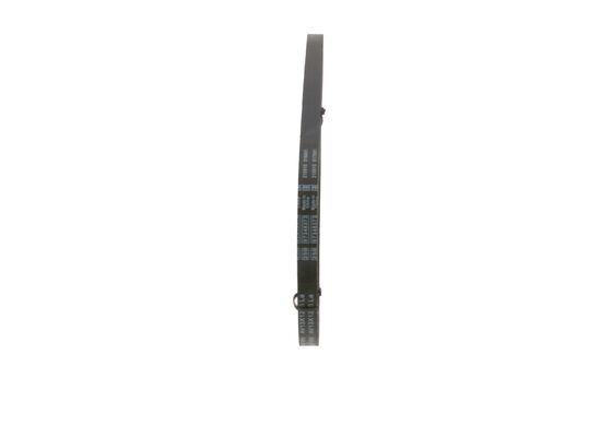 V-Belt