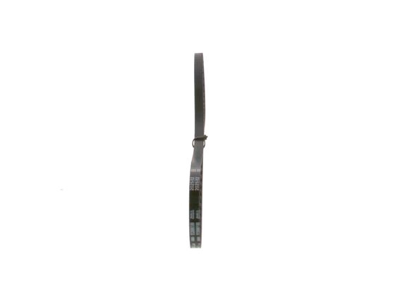 V-Belt