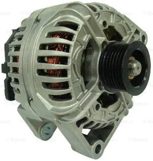 Alternator (F 042 301 101)