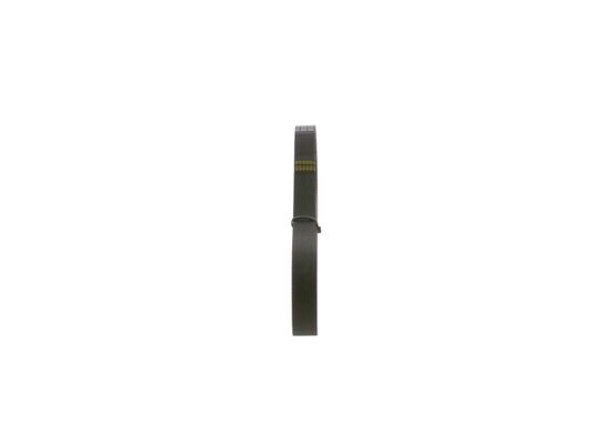 V-Ribbed Belt