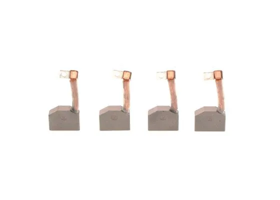 Carbon Brush, starter